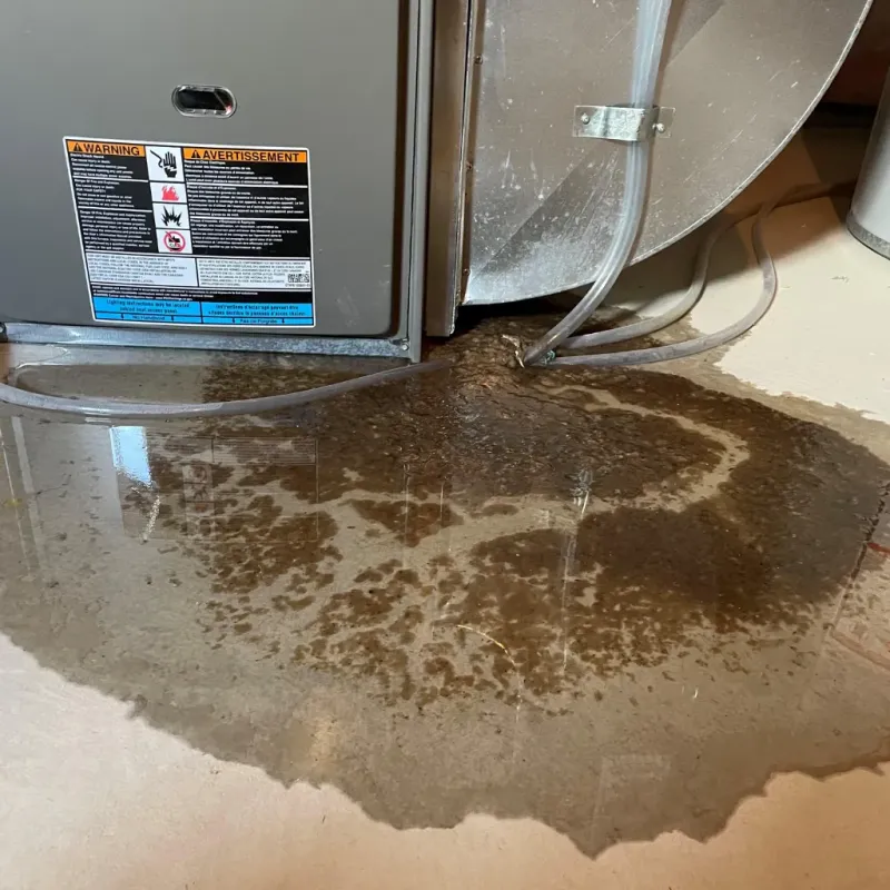 Appliance Leak Cleanup in Carlisle-Rockledge, AL