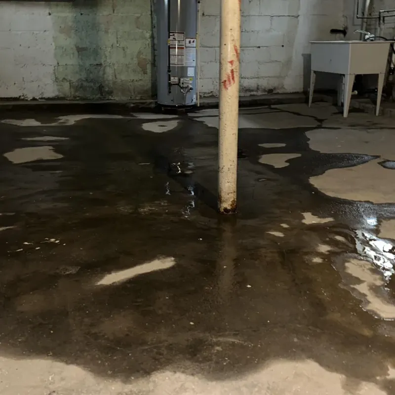 Emergency Water Extraction And Removal in Carlisle-Rockledge, AL
